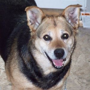 Meet your Posher, John